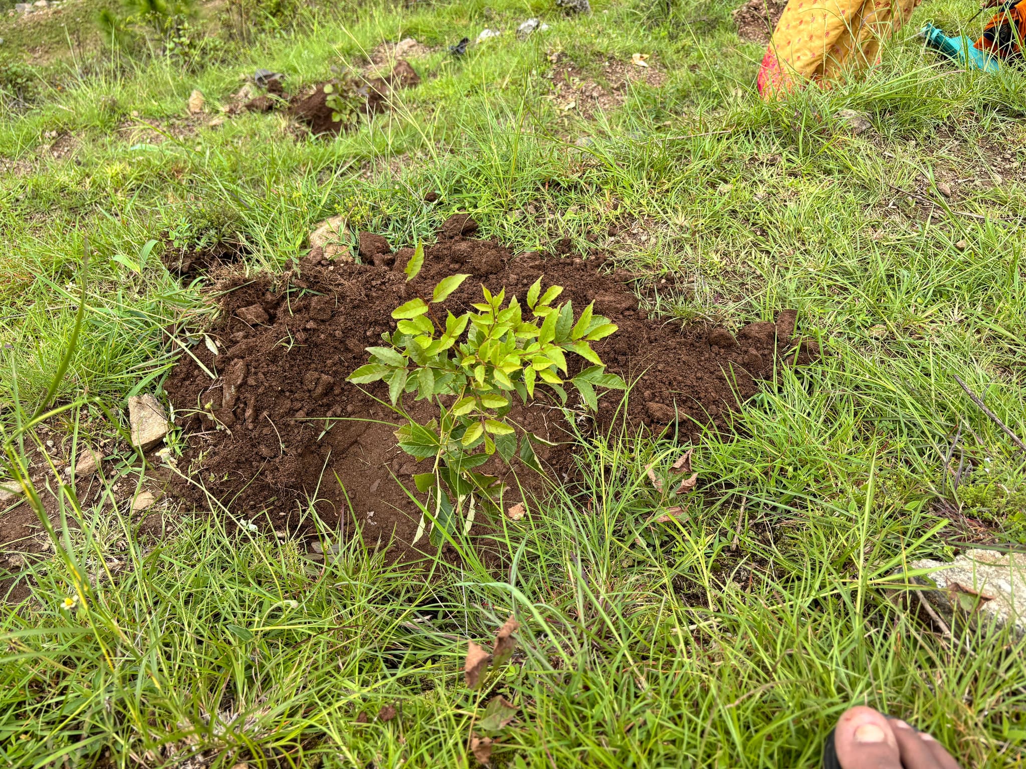 Sustainable Solutions